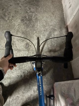 Wolfbike Evolution Talla 51