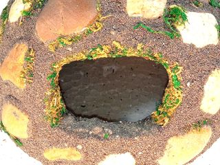 Refugio Cueva Piedras Terrario Reptiles