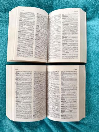 Diccionario español de la RAE