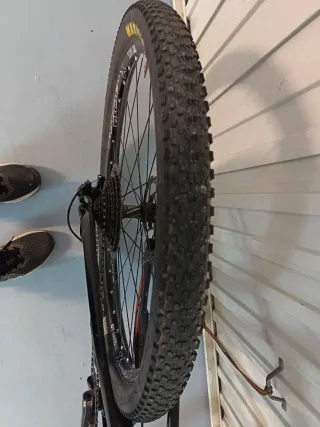 Orbea Oiz Carbono 29