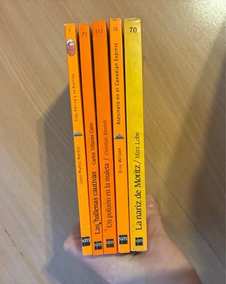 Pack 5 libros infantiles Colección Barco de Vapor