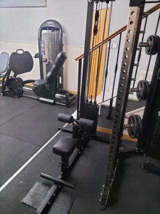 Jalón al pecho y remo Body Solid con placas