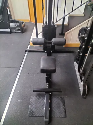 Jalón al pecho y remo Body Solid con placas