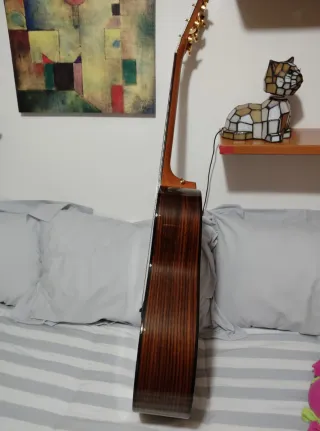 Guitarra Taylor 217e- SB 50th Anniversary