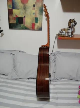 Guitarra Taylor 217e- SB 50th Anniversary