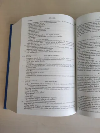 La Biblia didáctica