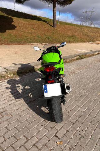 Kawasaki Ninja 300 ABS Verde