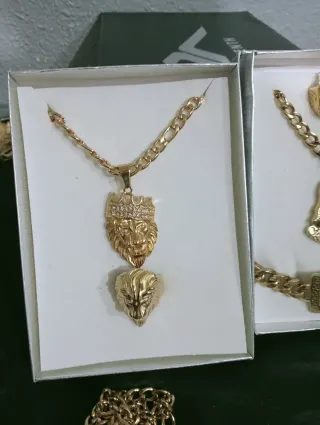 Conjunto de cabeza de león y anillo