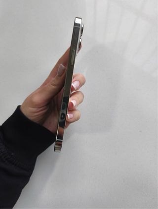 iPhone 13 Pro Max 256 GB Plata