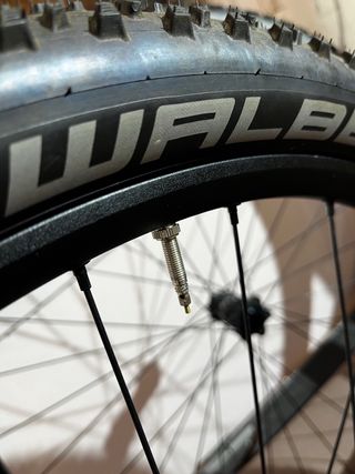 Juego Ruedas 29 Boost con Schwalbe Racing Ralph