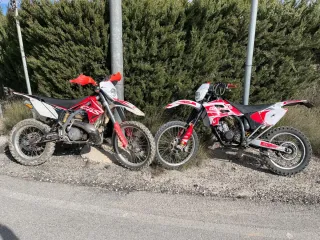 Gas Gas EC 250
