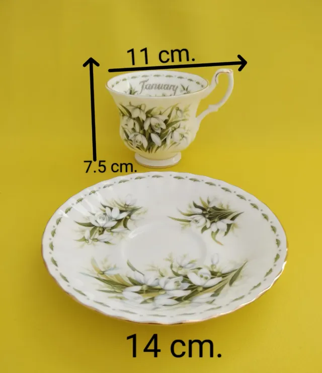Taza y platillo de porcelana enero