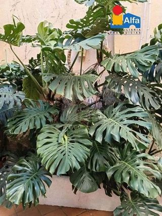 Chalet en venta en Centro en Cáceres