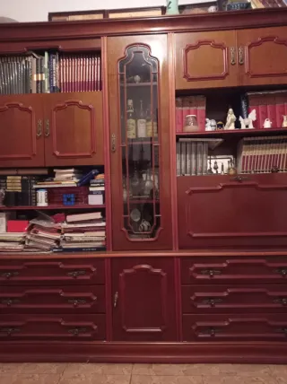 Armario de madera y cristal