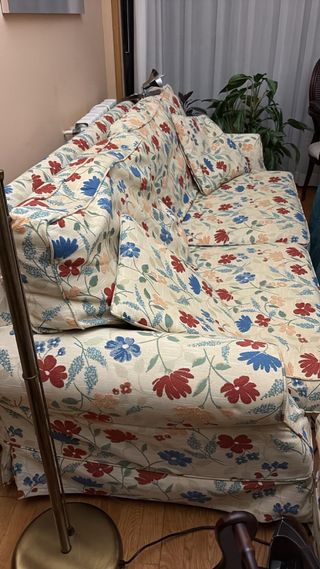 Dos sofas de tela floral beige y multicolor