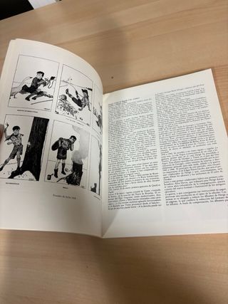 Conversaciones con HERGÉ (autor de Tintin)