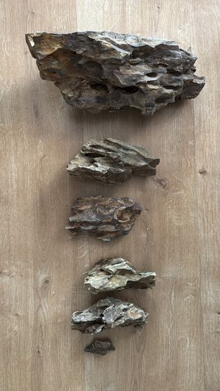 Roca Dragón para Acuario