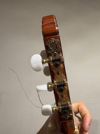 Guitarra Alhambra 5p con estuche