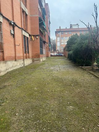 Jardinería en general – Barcelona y alrededores