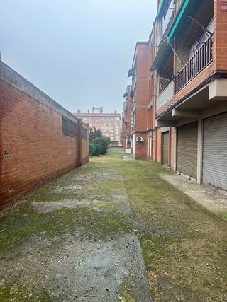 Jardinería en general – Barcelona y alrededores