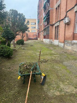 Jardinería en general – Barcelona y alrededores