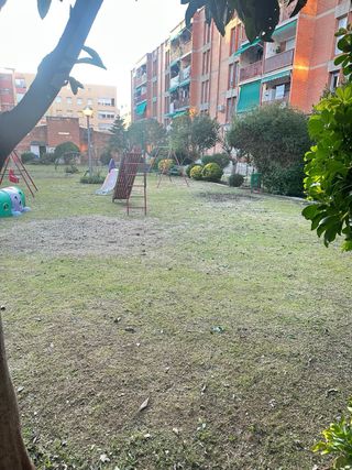 Jardinería en general – Barcelona y alrededores