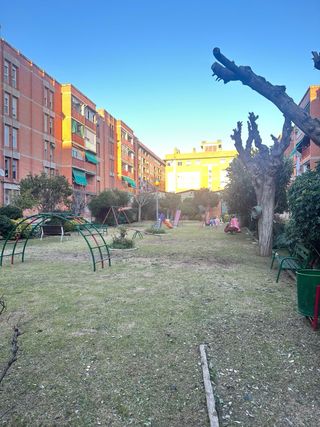 Jardinería en general – Barcelona y alrededores