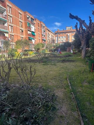 Jardinería en general – Barcelona y alrededores