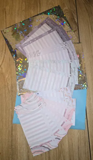 Set Fogli Budget sheet piu bustine trasparenti