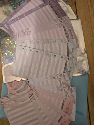 Set Fogli Budget sheet piu bustine trasparenti