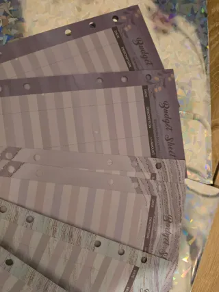 Set Fogli Budget sheet piu bustine trasparenti