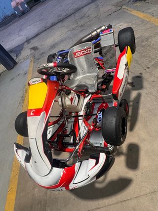 Kart Parolin Mini con motor Iame X30