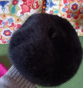 2 cappelli basco lana