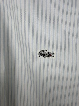 Camicia Lacoste Uomo Tg 40 Righe