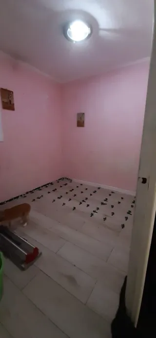 Pladur alisado y alicatado