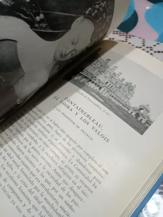 El Renacimiento - Elie Faure, edicion 1961