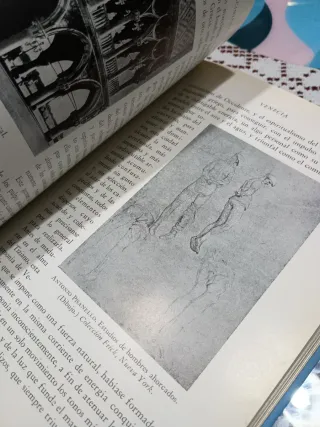 El Renacimiento - Elie Faure, edicion 1961