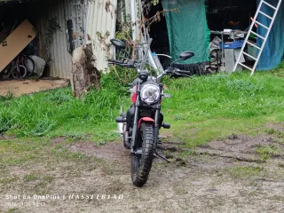 Ducati Scrambler 800 Icon 2023 Roja