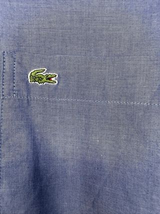 Camicia Lacoste Uomo Taglia 40 Blu