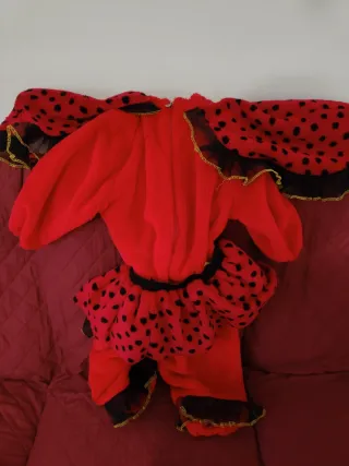 Vestito Carnevale Coccinella Bambina