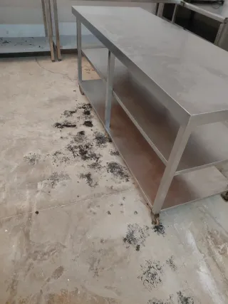 Mesa de trabajo de acero inoxidable