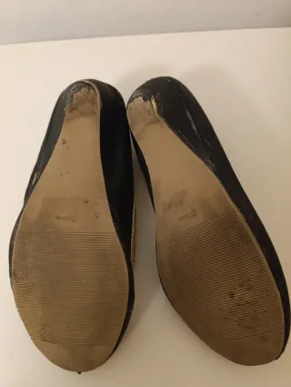 Zapatos de disfraz Anna Frozen