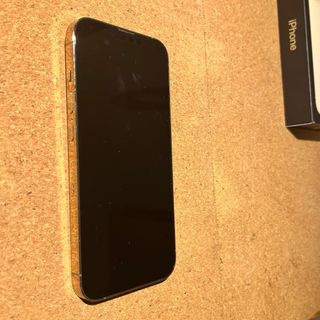 iPhone 13 Pro + 5 fundas + auriculares + cargador.