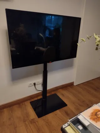 Soporte TV AOHCOS Negro