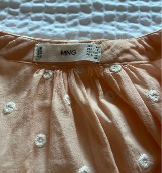 Blusa rosa con bordado de panete