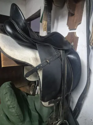 Silla majorman viena