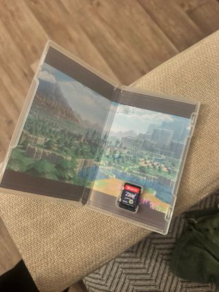 The Legend of Zelda: Echoes of Wisdom Switch