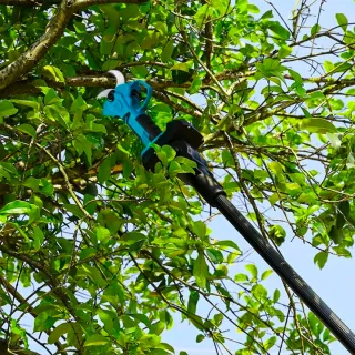 Kit 3in1 Forbici Motosega Asta 2 Batterie 48V