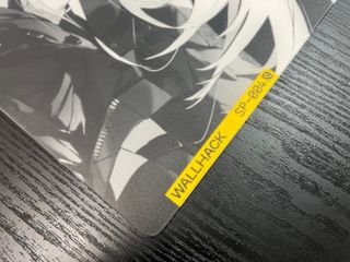 Wallhack SP-004 Twins