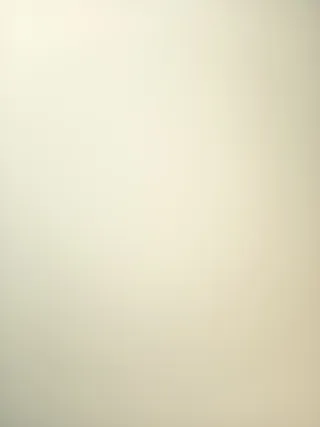 Traje de Flamenco Negro talla 2 años